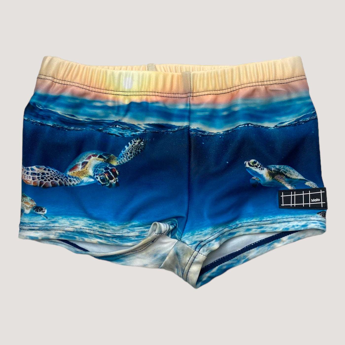 Molo swim pants, turtle | 74/80cm