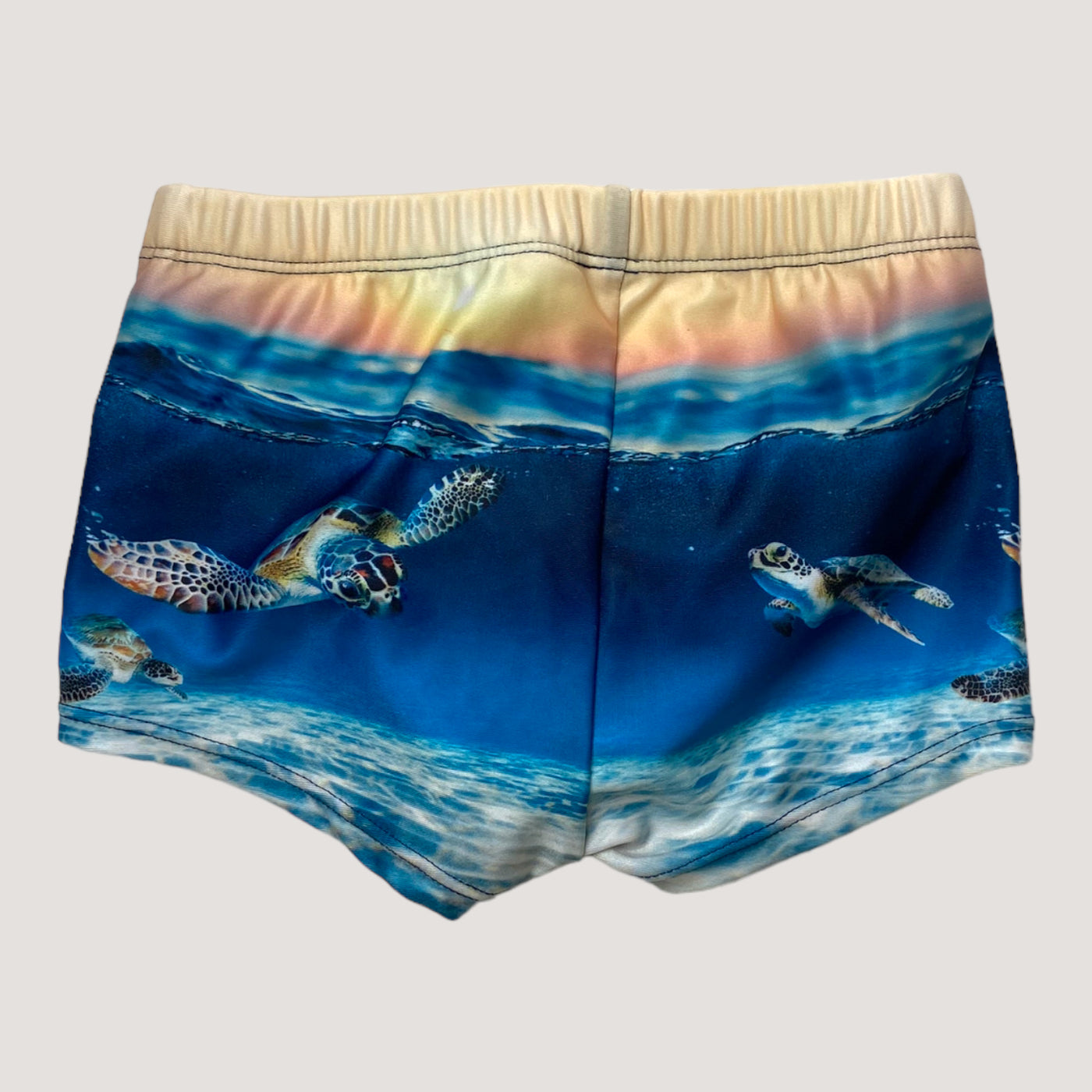Molo swim pants, turtle | 74/80cm