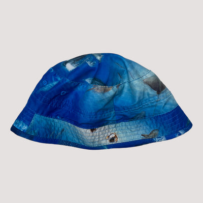 Molo summer hat, above ocean | 3-5y