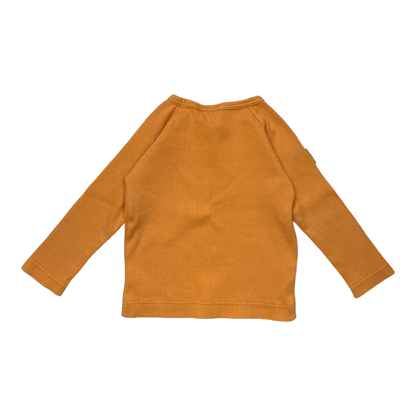 Metsola rib shirt, carrot orange | 74/80cm