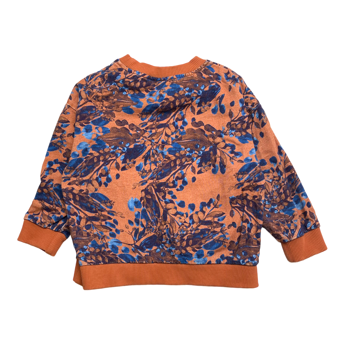 Kaiko sweatshirt, autumnal | 86/92cm