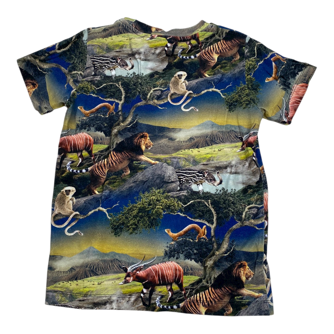 Molo t-shirt, animals | 104cm