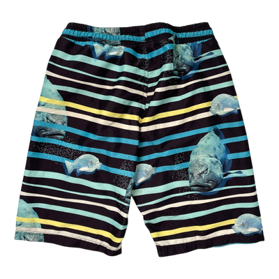 Reima swim shorts, stripes | 158cm