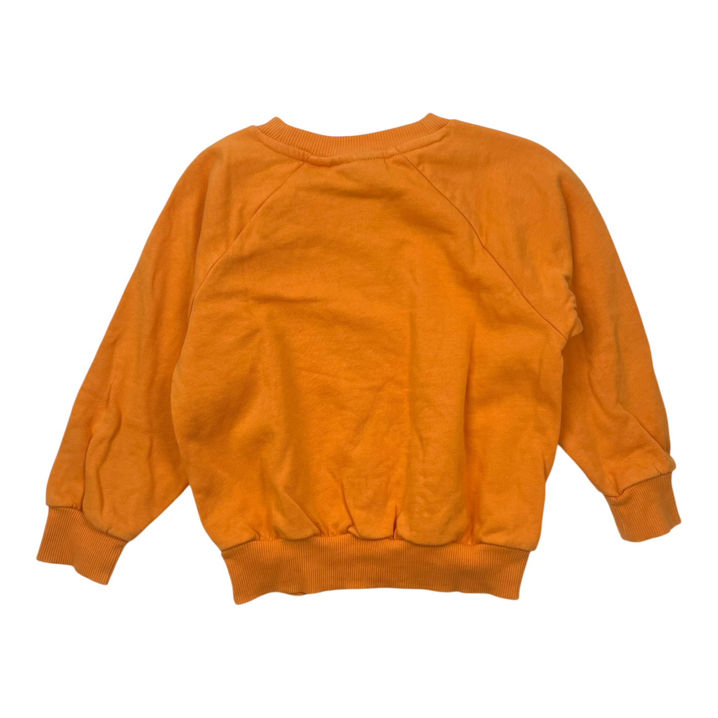 Mini Rodini sweatshirt, black bird | 92/98cm