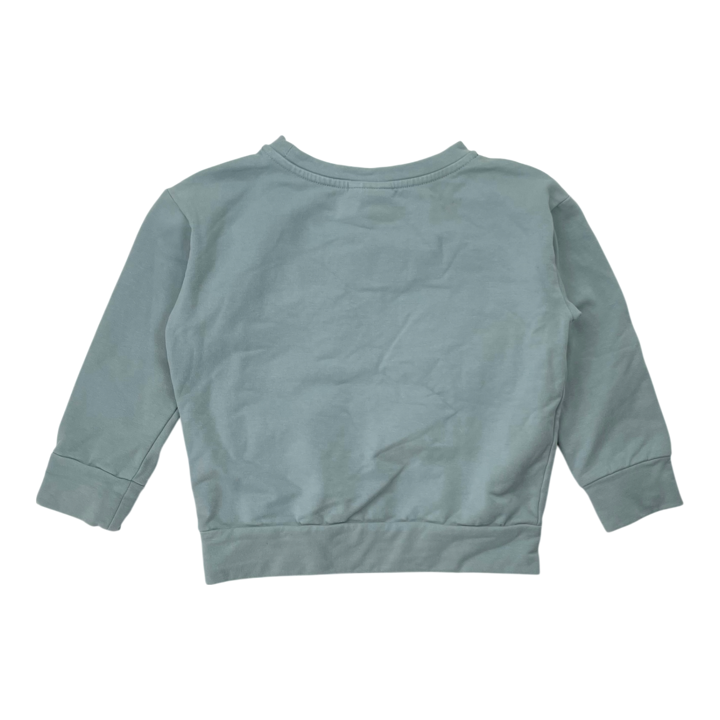 Papu sweatshirt, embroidery | 98/104cm