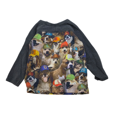 Molo shirt, dogs | 92cm