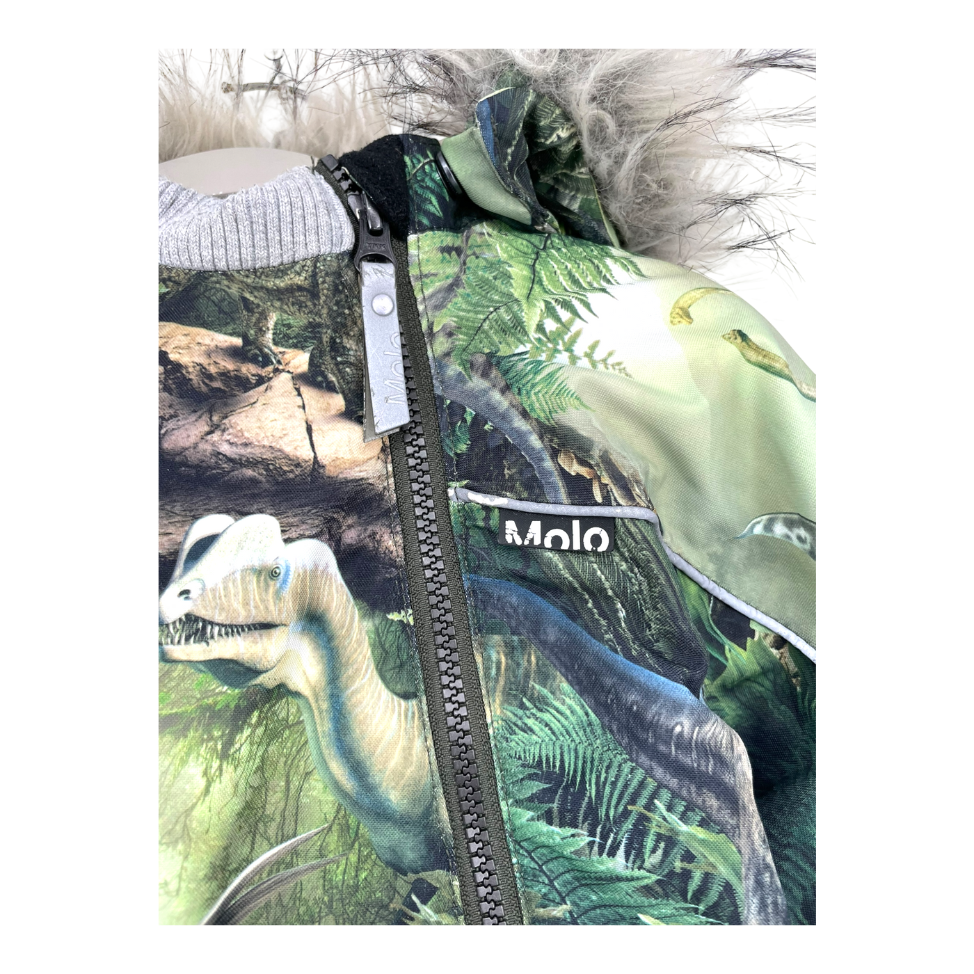 Molo pyxis overall, dinosaur | 86cm