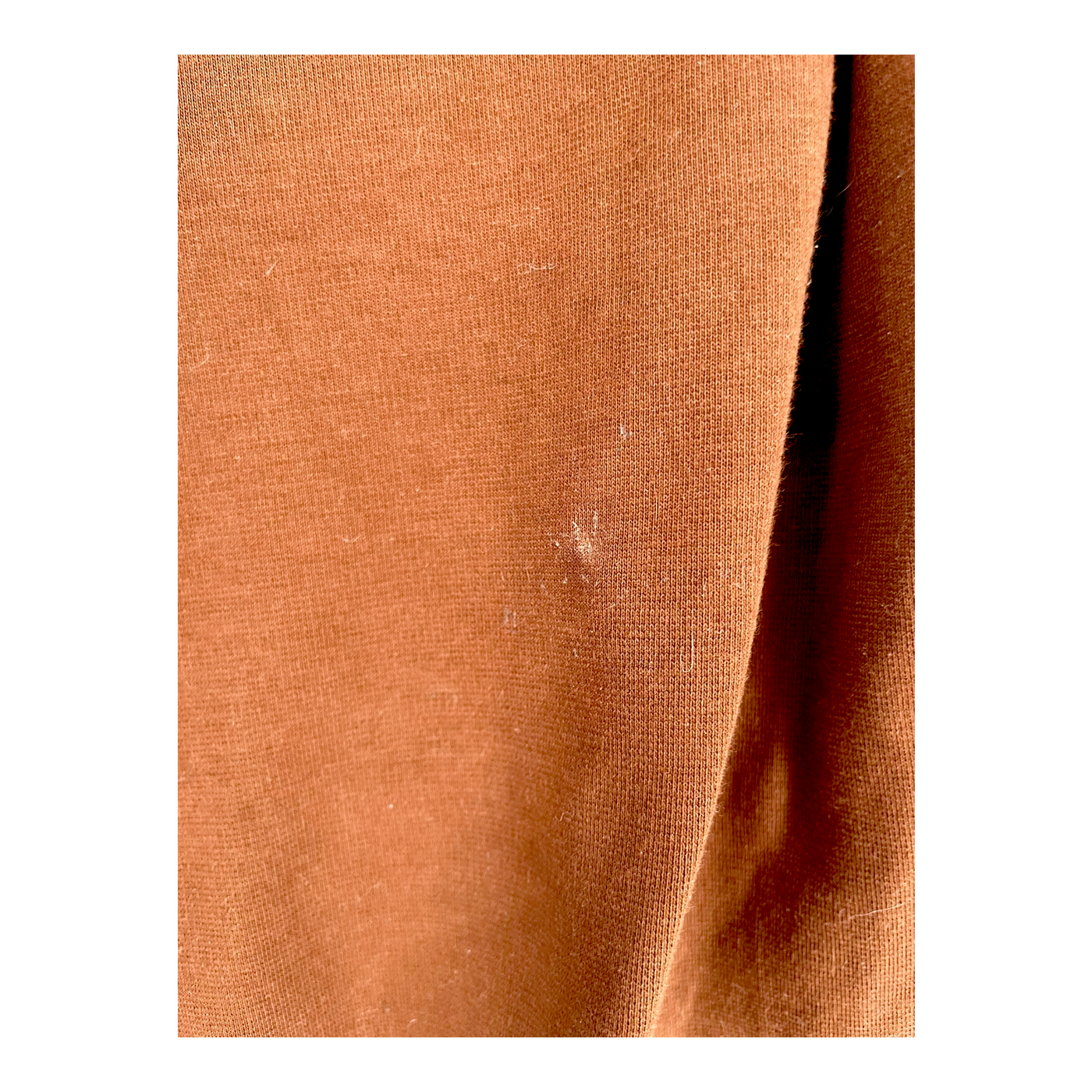 Riva Clothing mukava belted sweatpants, brown | woman XXL