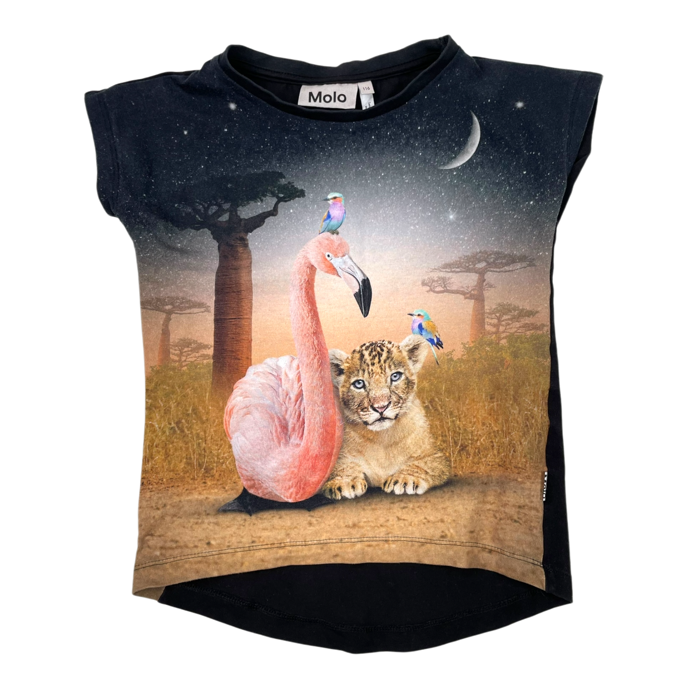 Molo t-shirt, savanna | 116cm