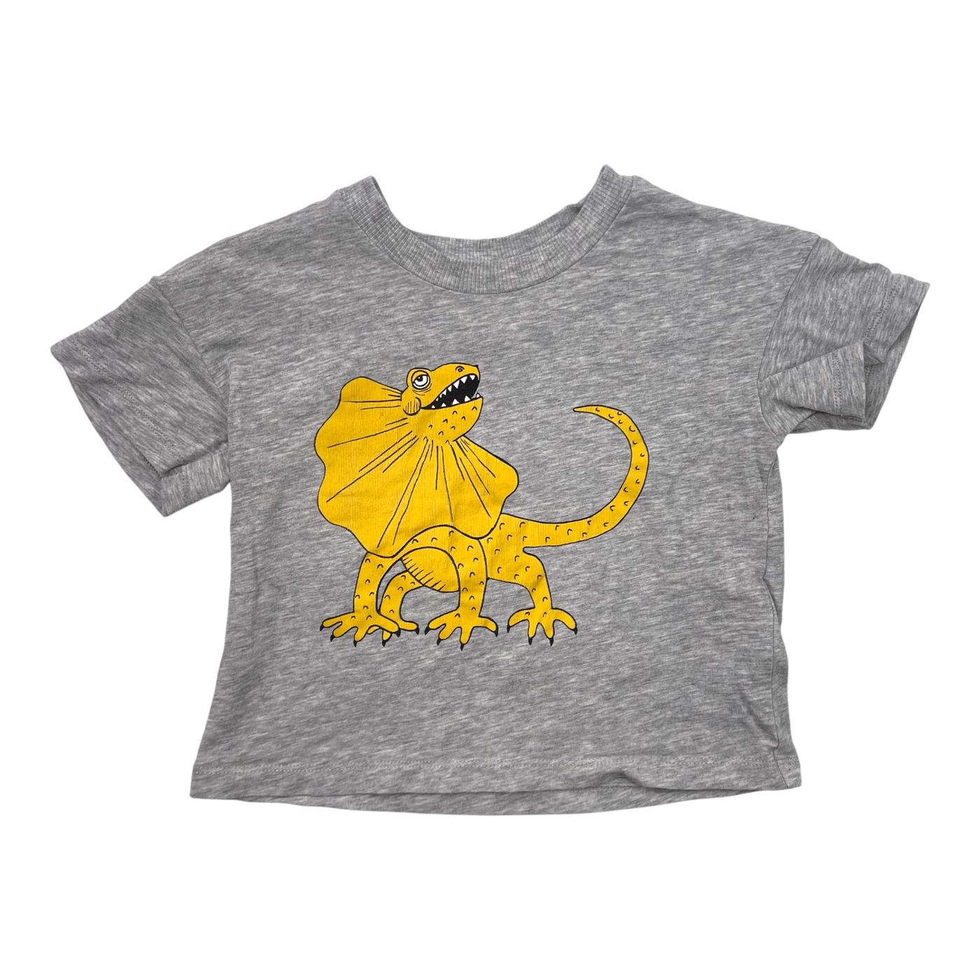 Mini Rodini t-shirt, dinosaur | 68/74cm