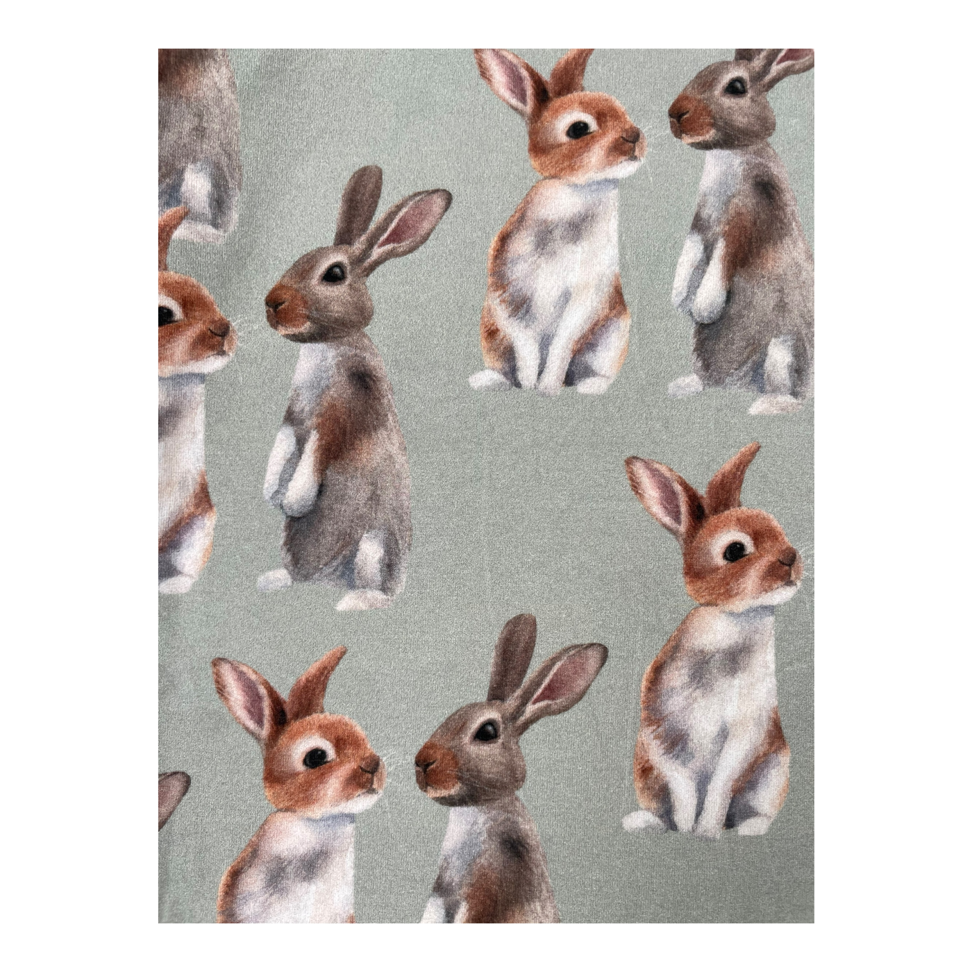 Metsola shirt, bunny | 134/140cm
