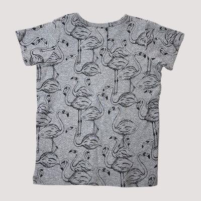 t-shirt, flamingo | 116/122cm