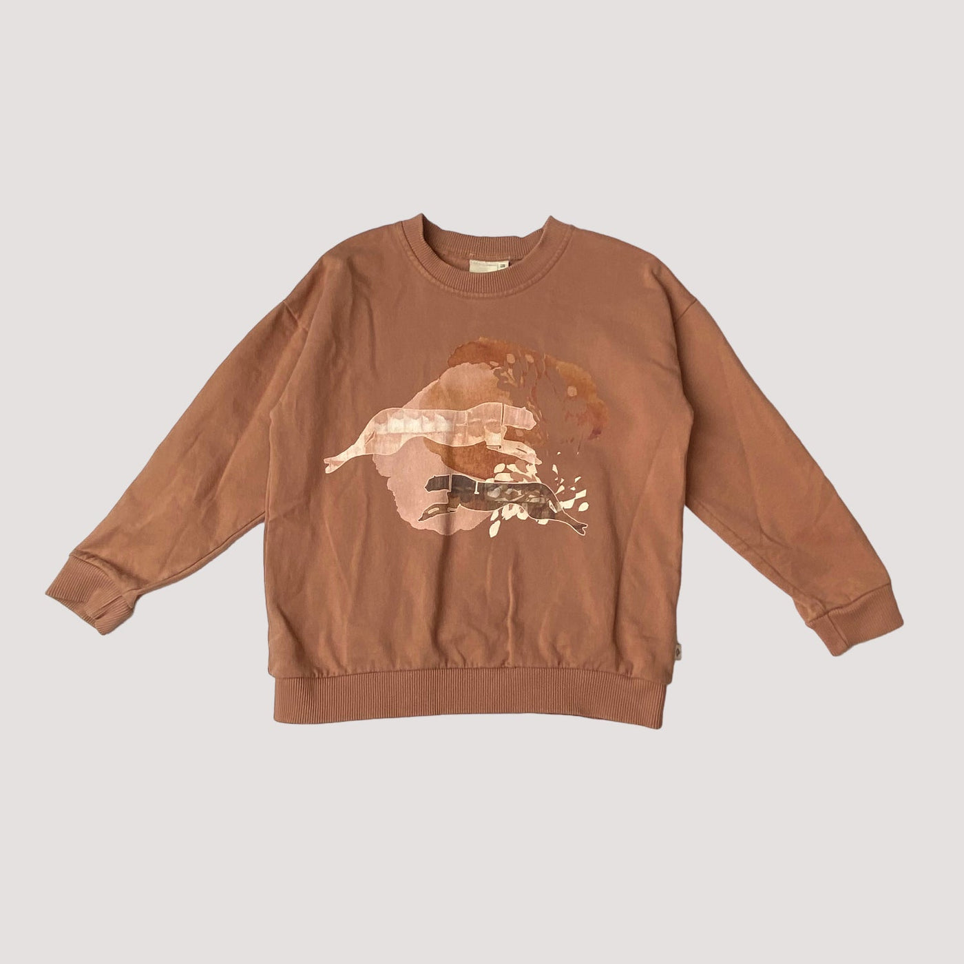 sweatshirt, nutty | 110/116cm
