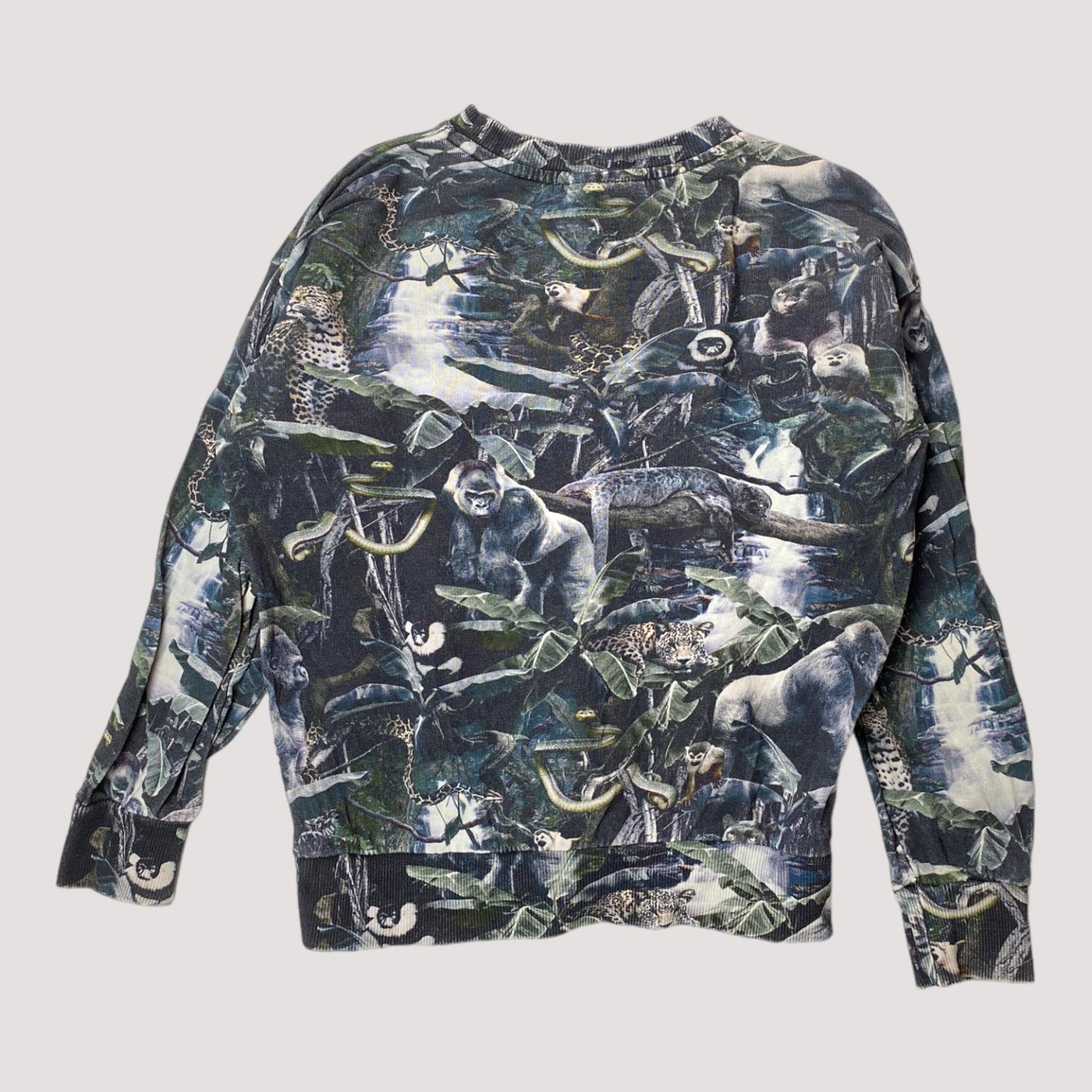 sweatshirt, moonlit jungle | 128cm